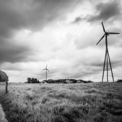 We Deserve This : These Last Days